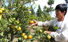 Những nông dân làm khác