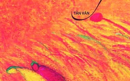 Ẩn tàng nỗi niềm và thân phận