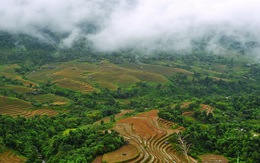 Hơi may đỉnh núi