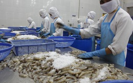 Việt Nam trong quan hệ kinh tế với EU: Mối nguy không phải từ Anh