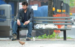 Một thế giới không xứng đáng với Keanu Reeves