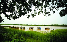 Bản sắc của các đô thị là sự đa dạng