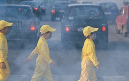 Cảm hứng từ chiến thắng trước xăng pha chì