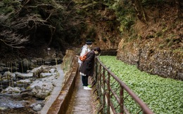 Bộ não gắn chip sẽ thành hiện thực năm 2020?