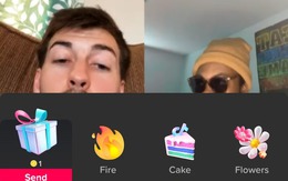 Kiếm sống bằng tiền boa số, quà tặng ảo