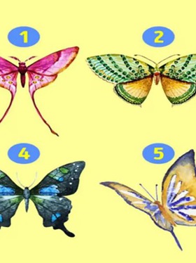 Quiz: Bạn là người lý trí, chín chắn hay sôi nổi, nhiệt huyết