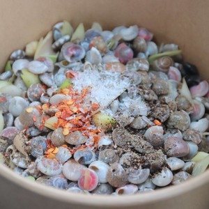 Vào mùa ốc gạo, bạn trẻ mê mẩn đã ăn là 'dính cứng ngắc'