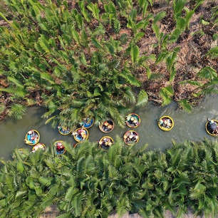 Rừng dừa Cẩm Thanh Hội An như lá phổi xanh ở cửa sông Thu Bồn