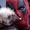 Dogpool, chú chó xấu xí trong Deadpool & Wolverine