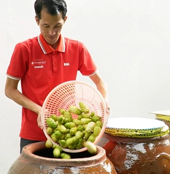 Người đàn ông bỏ phố về quê U Minh Hạ, kiếm 2 tỉ mỗi năm nhờ cây nhàu