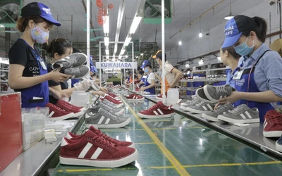 Giày Thượng Đình có CEO mới từ Vinaconex