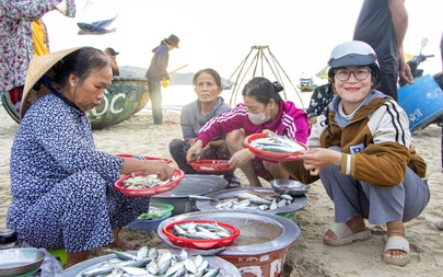 Sáng sớm đi mua cá tươi, mực nháy tại chợ ‘chồm hổm’ dọc biển Đà Nẵng